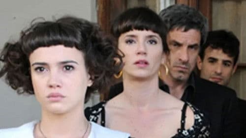 Para vestir santos Bild 4