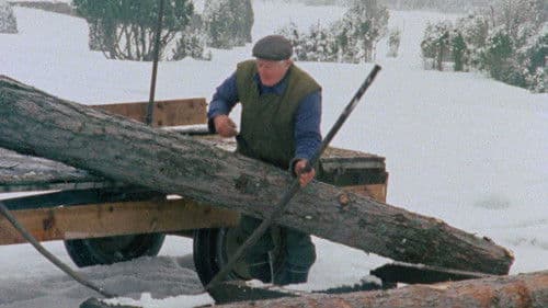 Fårödokument 1979 Bild 8