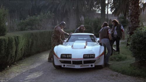 Mad Foxes - Feuer auf Räder Bild 7