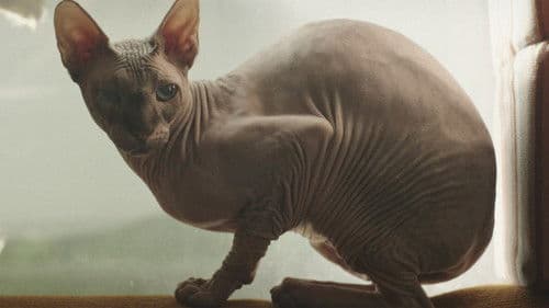 Mindörökké Bild 1