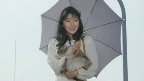 時代屋の女房 Bild 2