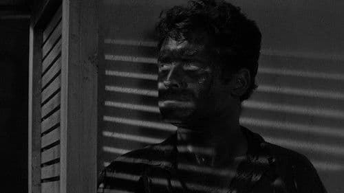 Die gelbe Hölle Bild 2