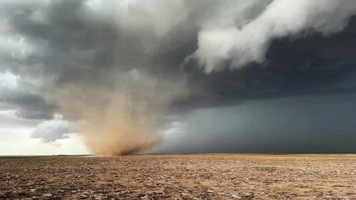 Wetterwahnsinn weltweit (2016) Bild 5