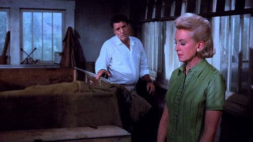 Die den Hals riskieren Bild 2