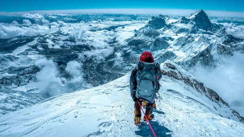 Finding Michael Bild 3