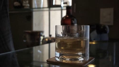 Western Falopa Bild 7