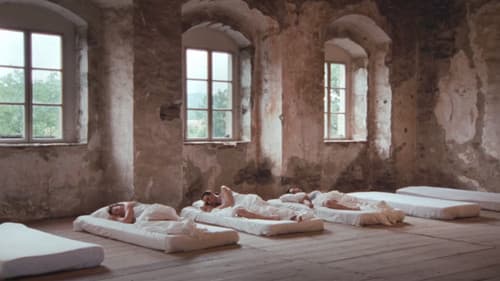 Glorious Summer Bild 8