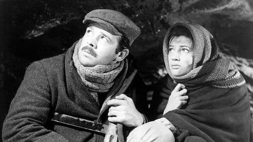 Un giorno da leoni Bild 3