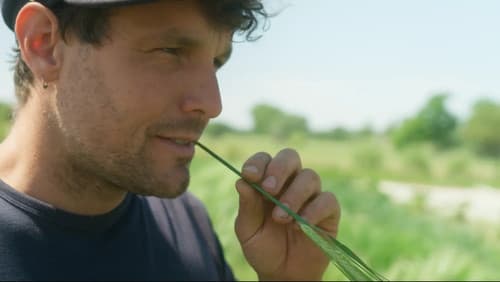 ZUT – Zones Urgentes à Transformer Bild 4