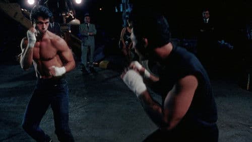 Kickboxer USA - Die Nacht des Fighters Bild 7