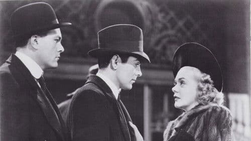 Rose of Washington Square Bild 4