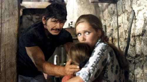 Kalter Schweiß Bild 5