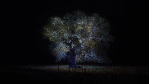 Jessica Forever Bild 3