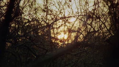 Virgin People Bild 1