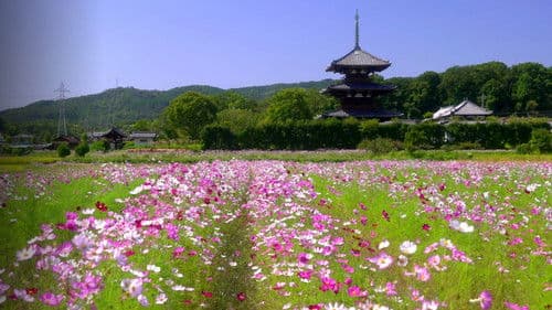 The Seasons of Yamato Bild 2