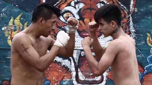 Django: En el nombre del hijo Bild 4