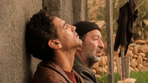 بين و بين Bild 3