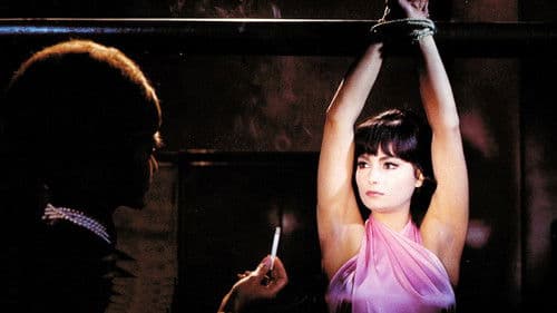 Das Geheimnis der drei Dschunken Bild 1