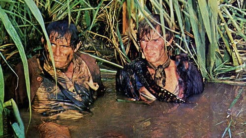 Im Visier des Falken Bild 2