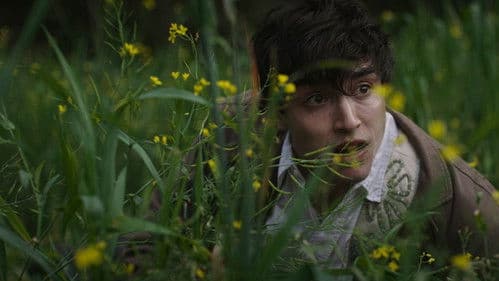 Para atrapar el viento Bild 5