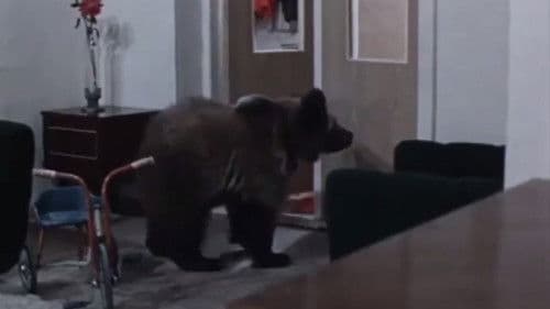 Мишка-артист Bild 2