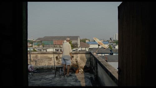 ใต้ฝุ่น Bild 3