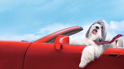 Shaggy Dog - Hör mal, wer da bellt Bild 2