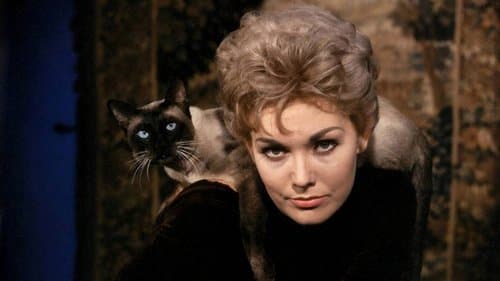 Meine Braut ist übersinnlich Bild 1