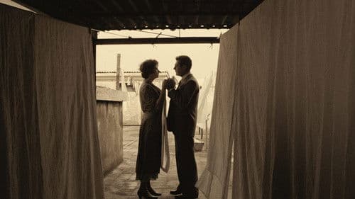 Ein besonderer Tag Bild 3