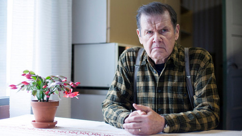 Kaffee mit Milch und Stress Bild 2