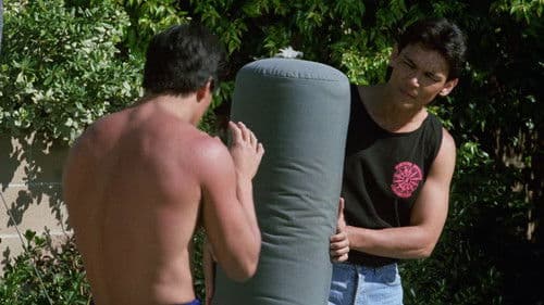 Bloodfist Fighter 2 - Tödliche Rache Bild 5