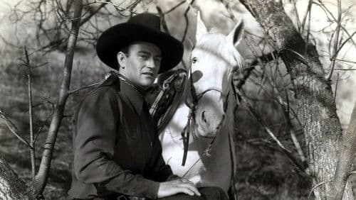 Der Rodeo-Raub Bild 2