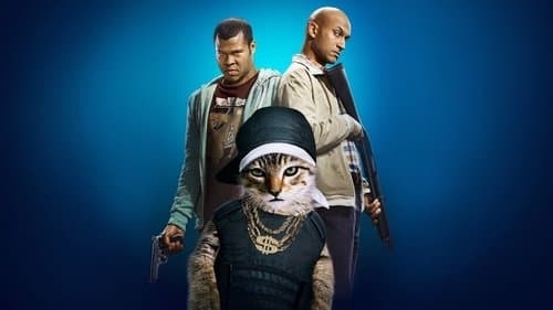 Keanu - Her mit dem Kätzchen! Bild 1