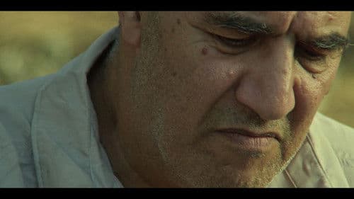 סוקצסיה Bild 3