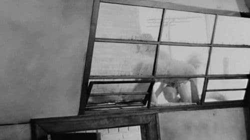 Besondere Kennzeichen: Keine Bild 1