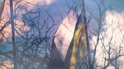 Despair and Defiance: The Battle for Ukraine Bild 2