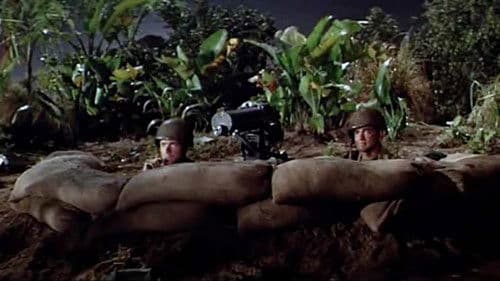 Shanghai Jack Bild 1