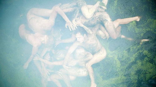 Wenn Bäume fallen Bild 3