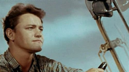 Черёмушки Bild 2