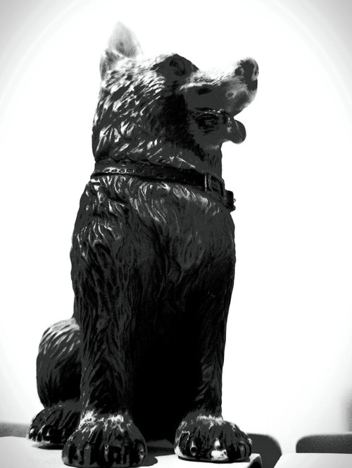 سگ کوچه سرندی