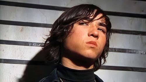 Perros callejeros Bild 1