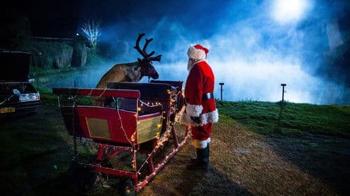 The Good Witch of Christmas Bild 3