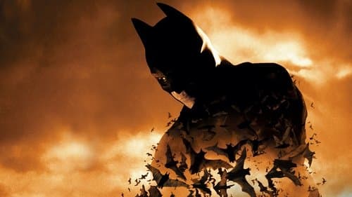 Batman Begins Bild 3