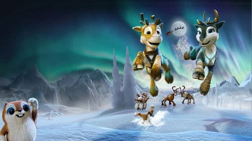 Niko - Reise zu den Polarlichtern Bild 8