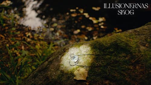 Illusionernas Skog Bild 1