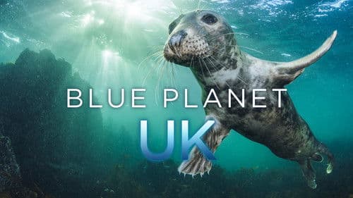Blue Planet UK Bild 1