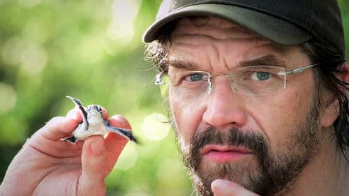 Češi zachraňují Bild 1