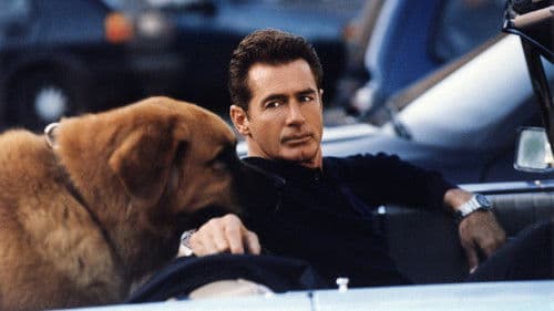 Tequila und Bonetti Bild 1