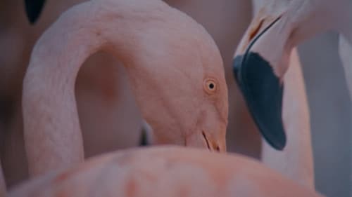 Monólogo colectivo Bild 6