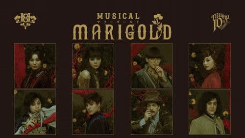 ミュージカル『マリーゴールド』 Bild 1